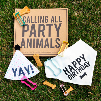 Pet Birthday Gift Set - Femail Creations