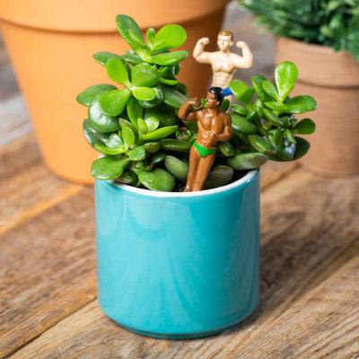Mini Plant Pot Hunks - Femail Creations