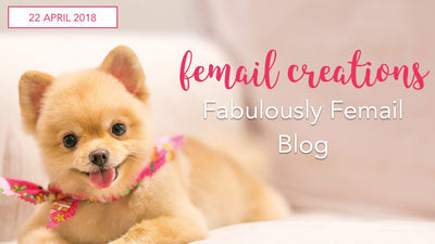 They Call It Puppy Love: 5 Ways to Pamper Your Pooch