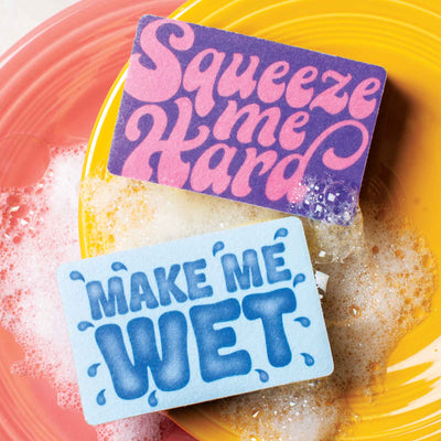 Make Me Wet/ Squeeze Me Hard Dirty Mind Sponges - Femail Creations