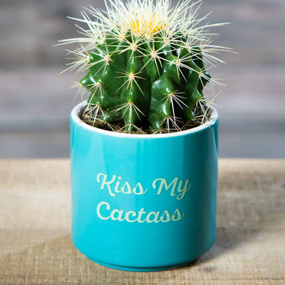 Kiss My Cactass Planter - Femail Creations