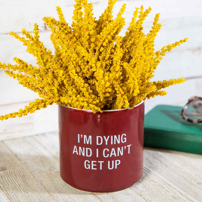 Dying and I can't get up Planter - Femail Creations